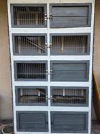 Konijnen hok/hotel, Dieren en Toebehoren, Ophalen, Cavia, 90 cm of meer, Hok