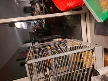 Ferplast ratten fretten kooi zonder toebehoren  beschikbaar voor biedingen