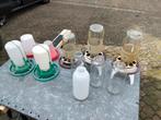 Drinkflessen en voerflessen voor vogel voliere / kippenhok, Vrouwelijk, Parkiet