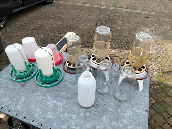 Drinkflessen en voerflessen voor vogel voliere / kippenhok, Dieren en Toebehoren, Vogels | Parkieten en Papegaaien, Parkiet, Vrouwelijk