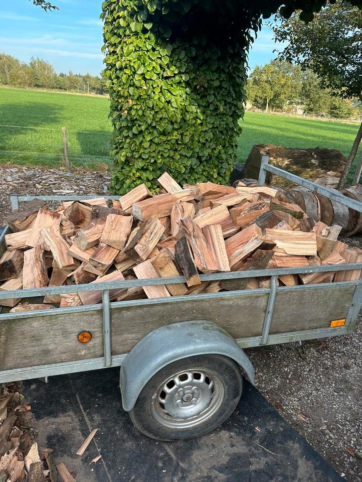 Te koop mooi haardhout., Tuin en Terras, Haardhout, Ophalen of Verzenden
