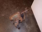 Onbekrachtigd stuurhuis dodge w200, Ophalen, Dodge