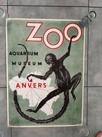 Originele oude affiche zoo Antwerpen, Verzamelen, Merken en Reclamevoorwerpen, Ophalen of Verzenden, Gebruikt, Reclamebord