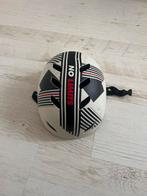 Skihelm - No Limits, Overige merken, Gebruikt, Overige typen, Ophalen of Verzenden