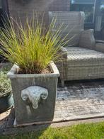 2x plantenbak met inhoud, Tuin en Terras, Bloembakken en Plantenbakken, Ophalen, Zo goed als nieuw, Rond, Minder dan 60 cm