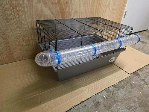 Hamsterkooi met buis 57x36x30 cm, Dieren en Toebehoren, Knaagdieren en Konijnen | Hokken en Kooien, Gebruikt, Kooi, Minder dan 60 cm