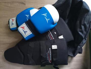 Bokshandschoenen en scheenbeschermers  beschikbaar voor biedingen