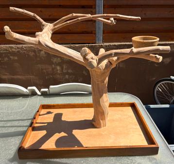 Javaboom 75cm beschikbaar voor biedingen