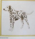 Borduurpatroon  Dalmatier hond  nr 9670, Nieuw, Patroon, Verzenden