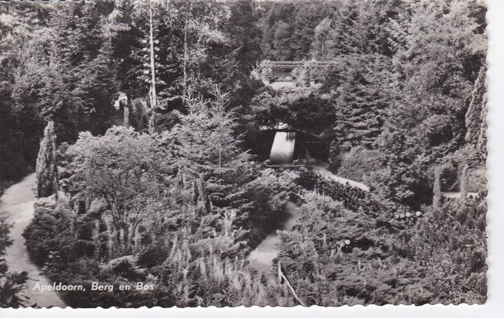 00200 Apeldoorn - Berg en Bos - 1960, Verzamelen, Ansichtkaarten | Nederland, Ongelopen, Gelderland, 1960 tot 1980, Verzenden