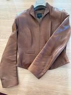 Cognackleurig leren jasje van Pauw maat 2 (38), Ophalen of Verzenden, Zo goed als nieuw, Maat 38/40 (M), Overige kleuren