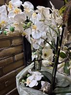 Mooie orchideen, Ophalen of Verzenden, Zo goed als nieuw
