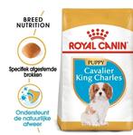 Royal Canin Cavalier King Charles Puppy 1,5 kg., Dieren en Toebehoren, Ophalen of Verzenden, Hond