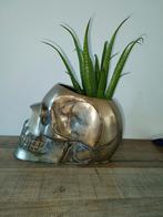 Bloempot skull met plant, Huis en Inrichting, Woonaccessoires | Overige, Ophalen, Zo goed als nieuw