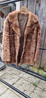 Echte bontjas maat 40, Kleding | Dames, Jassen | Winter, Ophalen of Verzenden, Zo goed als nieuw, Maat 38/40 (M), Bruin