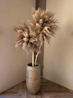 Pampas boom, Huis en Inrichting, Ophalen, Zo goed als nieuw