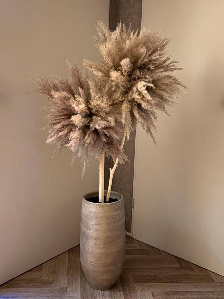 Pampas boom, Huis en Inrichting, Woonaccessoires | Kunstplanten en Kunstbloemen, Zo goed als nieuw, Ophalen