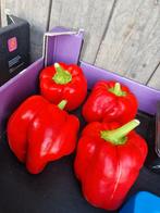 Biologische geteelde rode paprika's, Ophalen of Verzenden