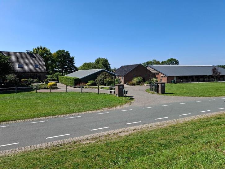 pensionstalling aangeboden, Dieren en Toebehoren, Stalling en Weidegang, Stalling, Weidegang, 4 paarden of pony's of meer