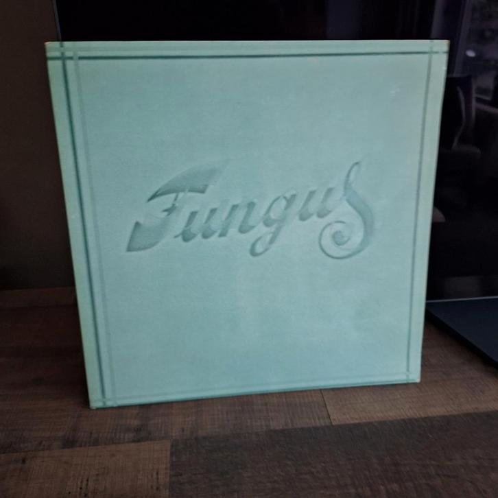 Fungus  (folkrock), Cd's en Dvd's, Vinyl | Overige Vinyl, Gebruikt, 12 inch, Ophalen of Verzenden