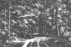 990642 Winterswijk Bij Beusink 1935 Gld Gelopen met post, Verzamelen, Ansichtkaarten | Nederland, Ophalen of Verzenden, 1920 tot 1940
