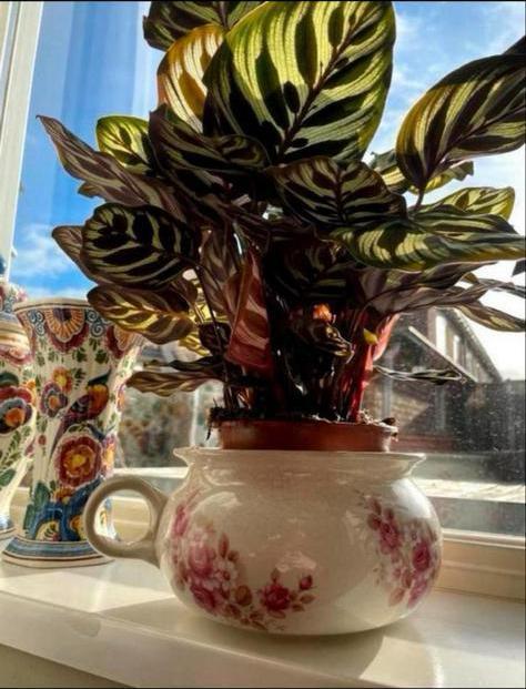 Vintage 'Pis' Pot met Roze Bloemen, Huis en Inrichting, Woonaccessoires | Vazen, Gebruikt, Overige kleuren, Minder dan 50 cm, Aardewerk of Porselein