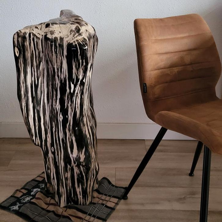 Opruiming TOP Fossiel hout decoratief +70 kg indonesie, Verzamelen, Mineralen en Fossielen, Fossiel, Ophalen