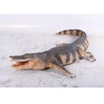 Krokodil 241 cm - krokodil beeld levensecht, Verzamelen, Dierenverzamelingen, Ophalen, Nieuw