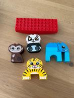 Mijn eerste Duplo balanceer dieren, Ophalen of Verzenden, Zo goed als nieuw, Duplo