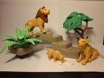 Playmobil - Leeuwen op rots 3239, Ophalen of Verzenden, Gebruikt, Complete set