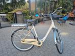 sparta c5 emotion, 51 tot 55 cm, Ophalen, Gebruikt, Sparta