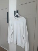 Oversized ZARA trui - Maat M, Ophalen of Verzenden, Zo goed als nieuw