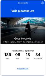 tickets Guus Meeuwis Antwerpen 12 December 2025, Tickets en Kaartjes, Twee personen, December