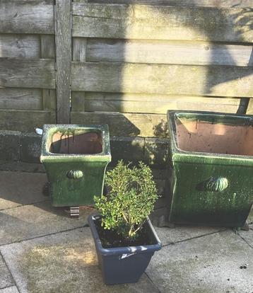 Prachtige vintage zwaar geglazuurde pot  beschikbaar voor biedingen