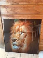 Glasschilderij Leeuwkop Zwart en Bruin 80x80 cm, Huis en Inrichting, Woonaccessoires | Schilderijen, Tekeningen en Foto's, Ophalen
