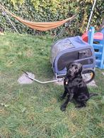 honden fietskar vevor, Dieren en Toebehoren, Honden-accessoires, Ophalen, Gebruikt