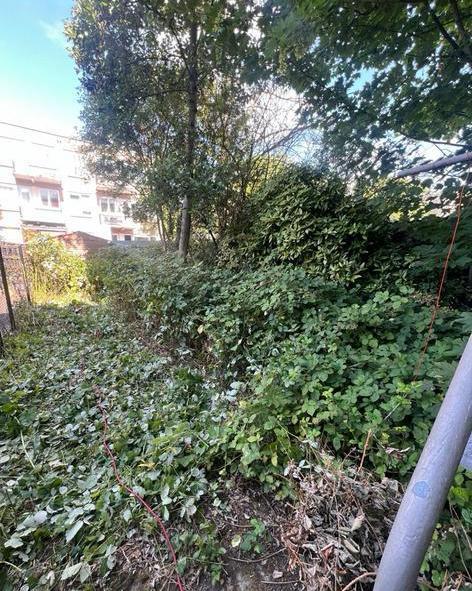 Tuinman aangeboden, Tuin en Terras, Tegels en Klinkers, Ophalen of Verzenden