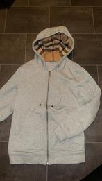 Burberry vest grijs, Kleding | Heren, Truien en Vesten, Ophalen of Verzenden, Zo goed als nieuw, Maat 48/50 (M), Grijs