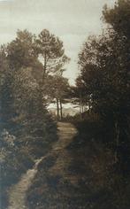 Oude Briefkaart: De Grensweg tusschen Bergen - Schoorl (N.h., Ophalen of Verzenden, Voor 1920, Ongelopen, Noord-Holland