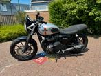 Triumph Street Twin, Particulier, Naked bike