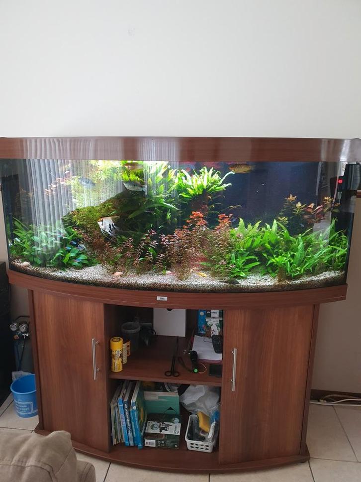 Aquarium, Dieren en Toebehoren, Vissen | Aquaria en Toebehoren, Gebruikt, Gevuld zoetwateraquarium, Ophalen