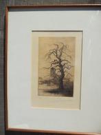 Oude notelaar, gesigneerde ets L Vissenaekens, kleine oplage, Antiek en Kunst, Ophalen of Verzenden