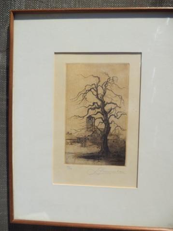 Oude notelaar, gesigneerde ets L Vissenaekens, kleine oplage beschikbaar voor biedingen