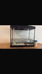 Vissenkom, Dieren en Toebehoren, Vissen | Aquaria en Toebehoren, Ophalen, Zo goed als nieuw