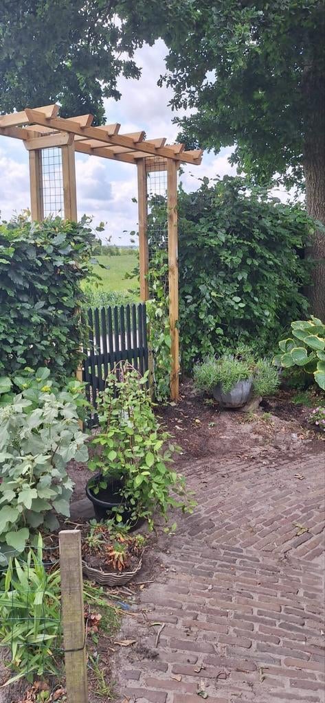 Pergola van hout, Ophalen of Verzenden