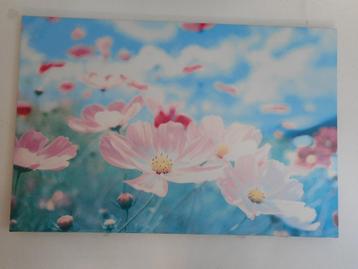 Tuinschilderij bloemen - NIEUW beschikbaar voor biedingen