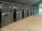 25 ruime paardenboxen | 3 x 3.5 meter | Hardhout, Dieren en Toebehoren, Stalling en Weidegang, Weidegang