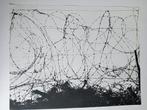 Fotogravure prikkeldraad jaren 60/70, Ophalen of Verzenden