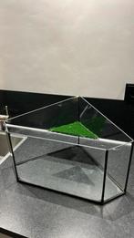 Hoekvormig aquarium/terrarium met landgedeelte, Ophalen, Gebruikt, Leeg aquarium