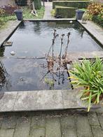 vijver en toebehoren, Ophalen, Gebruikt, Overige typen